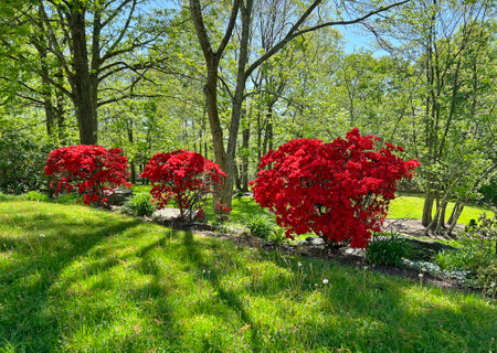 Bright spring colors, Virginiaの写真素材