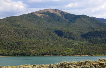 Forest on the hill, Coloradoの写真素材