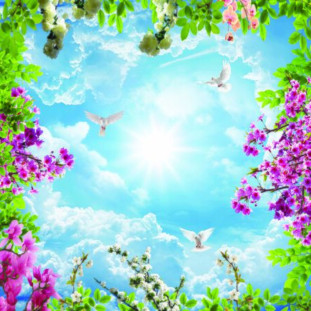 Beautiful sky with leaves and flowersのeditorial素材