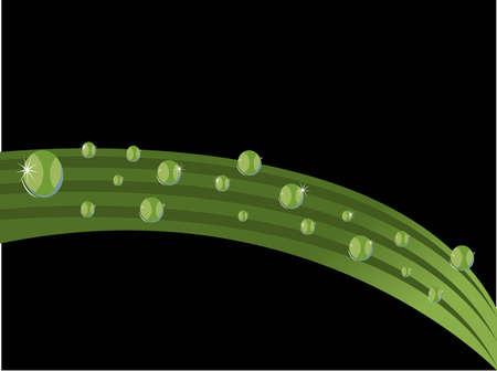 drop on the sheetのイラスト素材