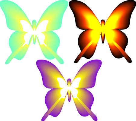 set of butterflyのイラスト素材