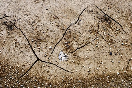 dry land with many cracks and a leafの写真素材