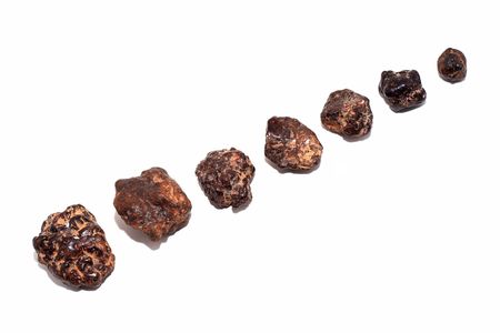 group of meteorite isolated on white background