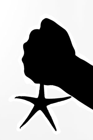 silhouette of a hand holding sea starの写真素材