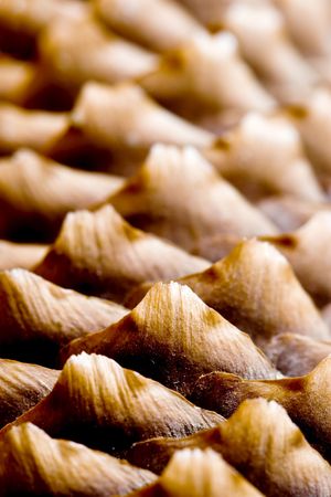 abstract close up shot of a pine coneの写真素材