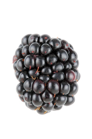 single ripe blackberry against white backgroundの写真素材