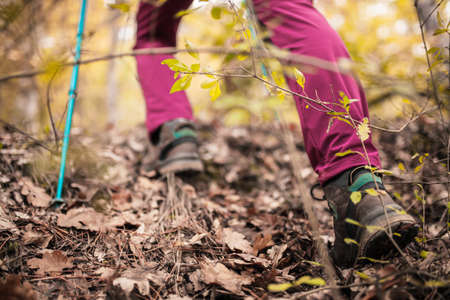 Hiking girl in a mountain. Low angle view of generic sports shoe and legs in a forest. Healthy fitness lifestyle outdoors.の写真素材