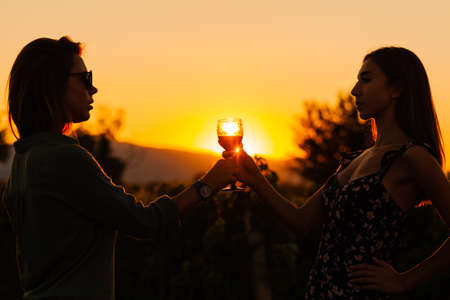 Silhouette of beautiful girls cheering with wine glass on sunset near vineyard field. Celebrating successful harvest season. Couple having a romantic date..の写真素材
