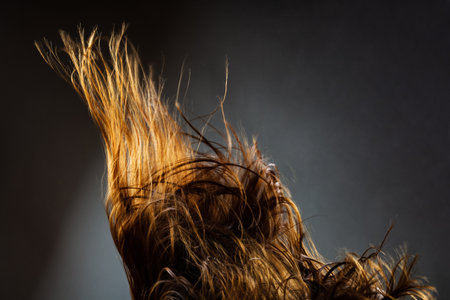 Abstract windy hair texture. Backlit silhouette on dark background.の写真素材