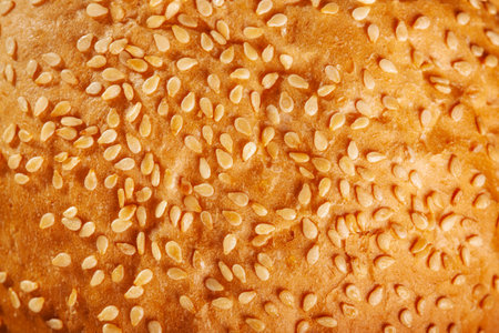 Close up abstract burger bun with sesame seeds texture background.の写真素材
