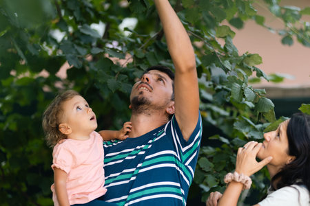 Family Looking Up at Tree Leaves While Bonding Together Outdoors