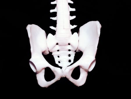 some parts of human body                               の写真素材