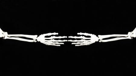 two skeleton hands that touch itの写真素材