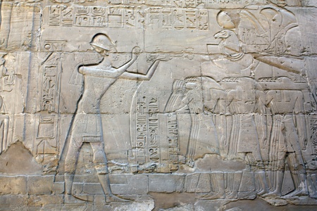 hieroglyph in temple of karnak の写真素材