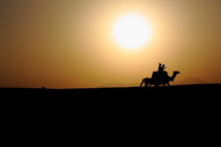 arabian sunset with camelの写真素材