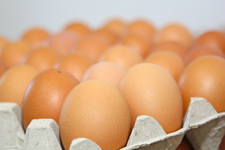 eggs production line in a factory
