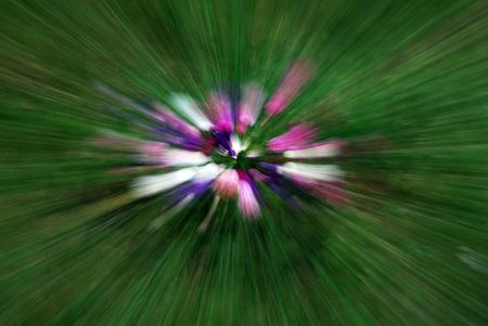 floral background の写真素材