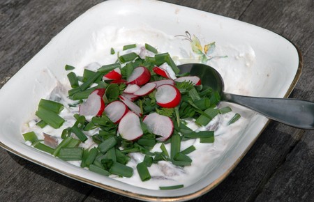fresh fish salad with radish and green onionの写真素材