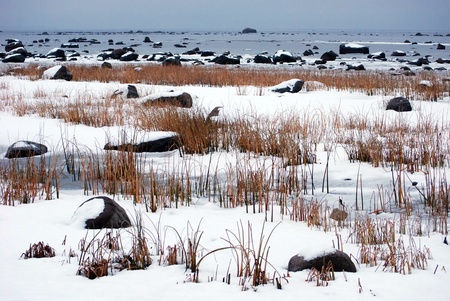 lot of rocks at seaside at winterの写真素材