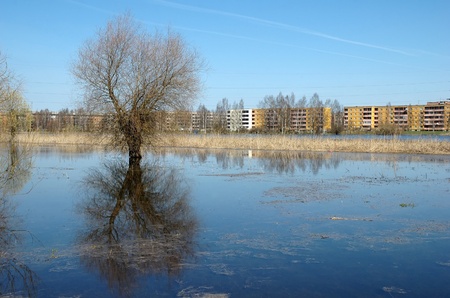 flood on river at springtime in suburbの写真素材