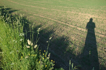 A shadow of standing human falling on the green fresh fieldの写真素材