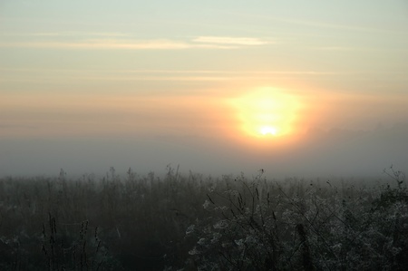 Misty sunrise over grassの写真素材