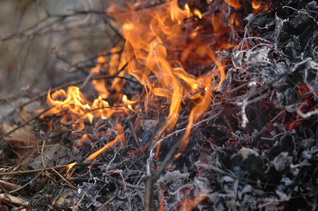 flames from a fire burning の写真素材