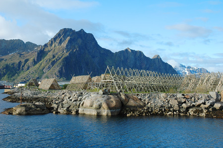 Racks full of dried codfishの写真素材