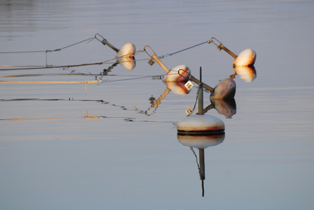 buoys in sea at port