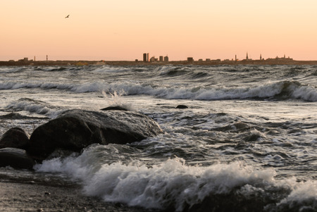 seagull flies on stormy sea. Tallinn silhouette, the capital of Estonia on backgroundの写真素材