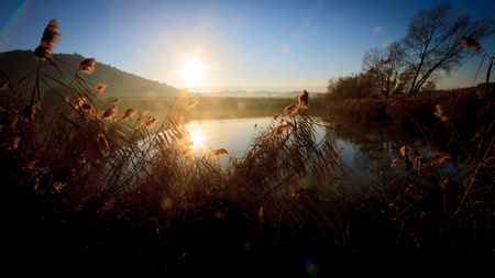 Landscape with the sun reflection in the water of a lakeの写真素材