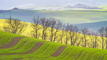 Val d'Orcia, March 2016: Landscape with hill, house and cypress, on March 2016 in Val d'Orcia, Tuscany, Italyのeditorial素材