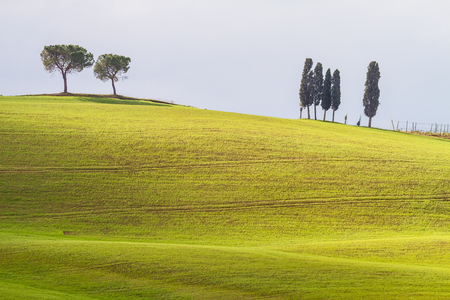 Val d'Orcia, March 2016: Landscape with hill and cypress, on March 2016 in Val d'Orcia, Tuscany, Italyのeditorial素材