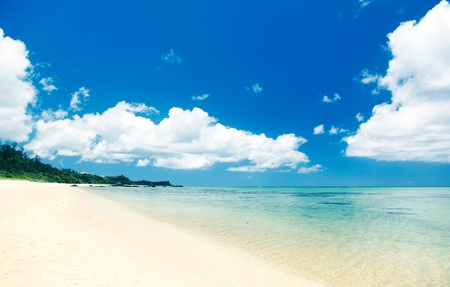 Tropical Okinawa beachの写真素材