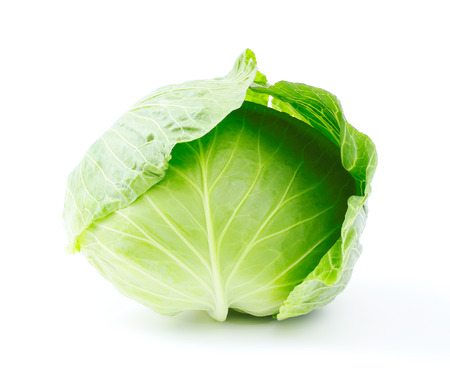 cabbageの写真素材