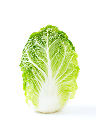 Chinese cabbageの写真素材