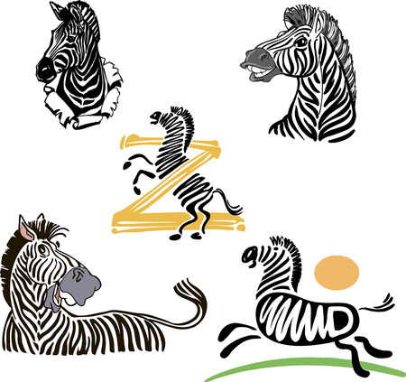 Collection of hand drawn African zebras.のイラスト素材
