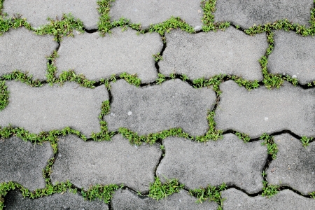 wavy brick pattern の写真素材