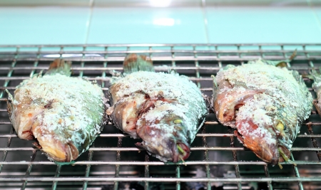 fishs grilled with saltの写真素材