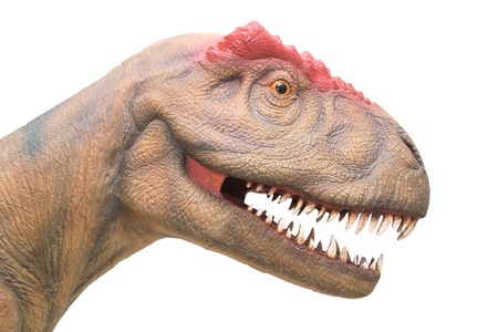 close up of dinosaur headの写真素材