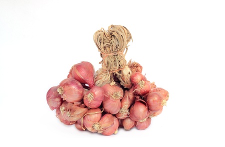 onion on white backgroundの写真素材
