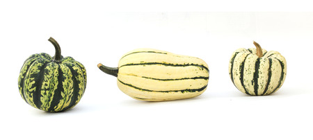 Pumpkins isolated on white background.