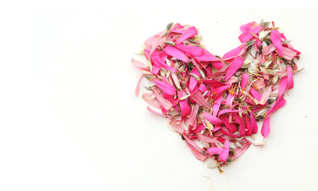 Flowers Heart isolate on white. Valentine. Loveの写真素材