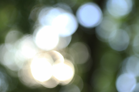 Green blur, bokeh or defocus background.の写真素材
