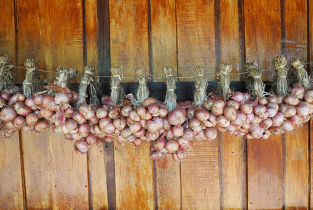 Row fo dried onion, wodd wall background.の写真素材
