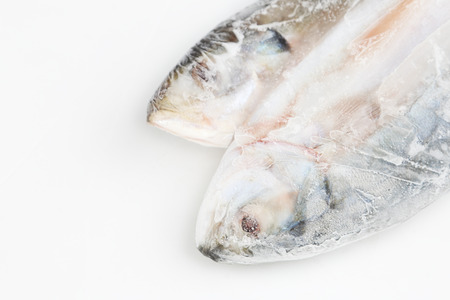 Fresh fish food on ice, white background.の写真素材
