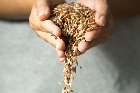 Close up cereal rice grains falling from woman's hand.の写真素材