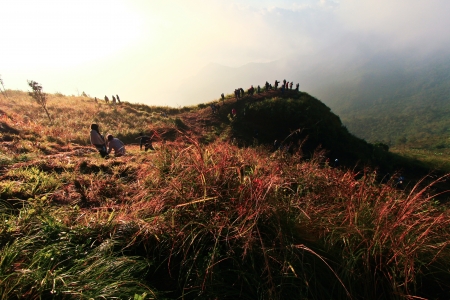 CHIANGRAI THAILAND-DEC 10 tourist walk down to the scenic spots  on december 10,2012 at phu chi fa in chiangrai,thailand のeditorial素材