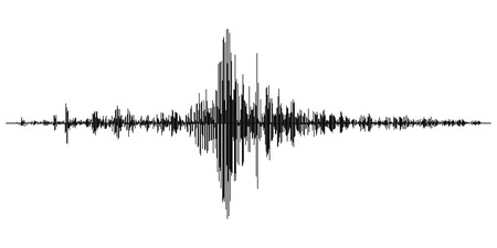 Seismogram of different seismic activity record vector illustration, earthquake wave on paper fixing, stereo audio wave diagram background. seismic tremors sign. Earthquake seismic activityのイラスト素材