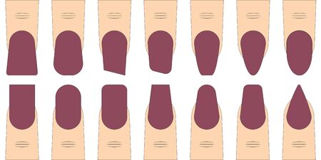 set nail shape, vector fashion trends in manicure, fingers with different nail shape sample for manicure salonのイラスト素材